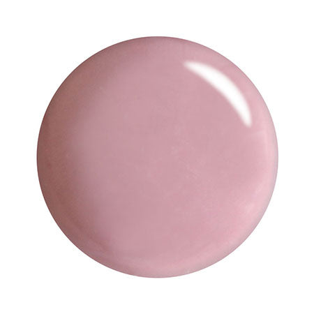 T-GEL COLLECTION color gel D251 Misty Rose 4 ml