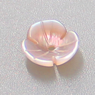 Shareydva Shell Flower-Crush Pink Viola 2pc