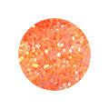 Erikonail ERI-208 Jewelry Collection Neon Pastel Orange II Round Hologram 1mm