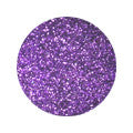 Erikonail ERI-24 Jewelry Collection Dark Purple Glitter