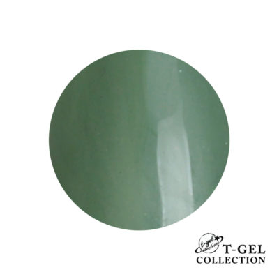 T-GEL COLLECTION color gel D234 clear khaki 4ml