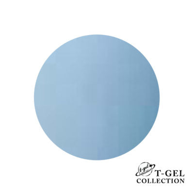 T-GEL COLLECTION Color Gel D040 Icy Blue 4ml