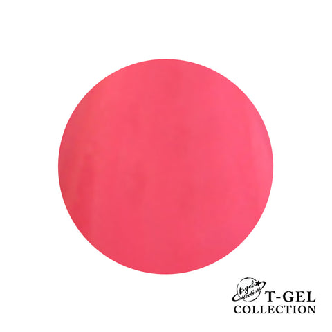 T-GEL COLLECTION Color Gel D066 Flamingo Pink 4ml