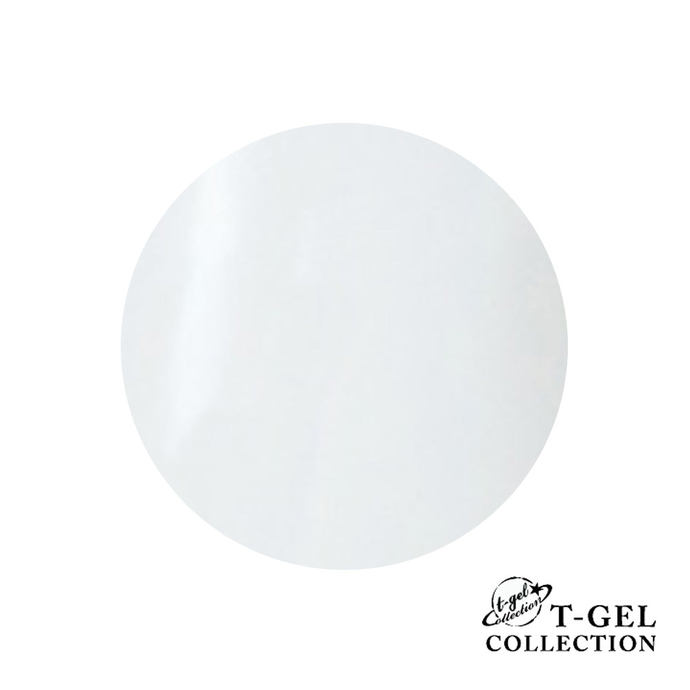 T-GEL COLLECTION Color Gel D195 Titanium White 4ml