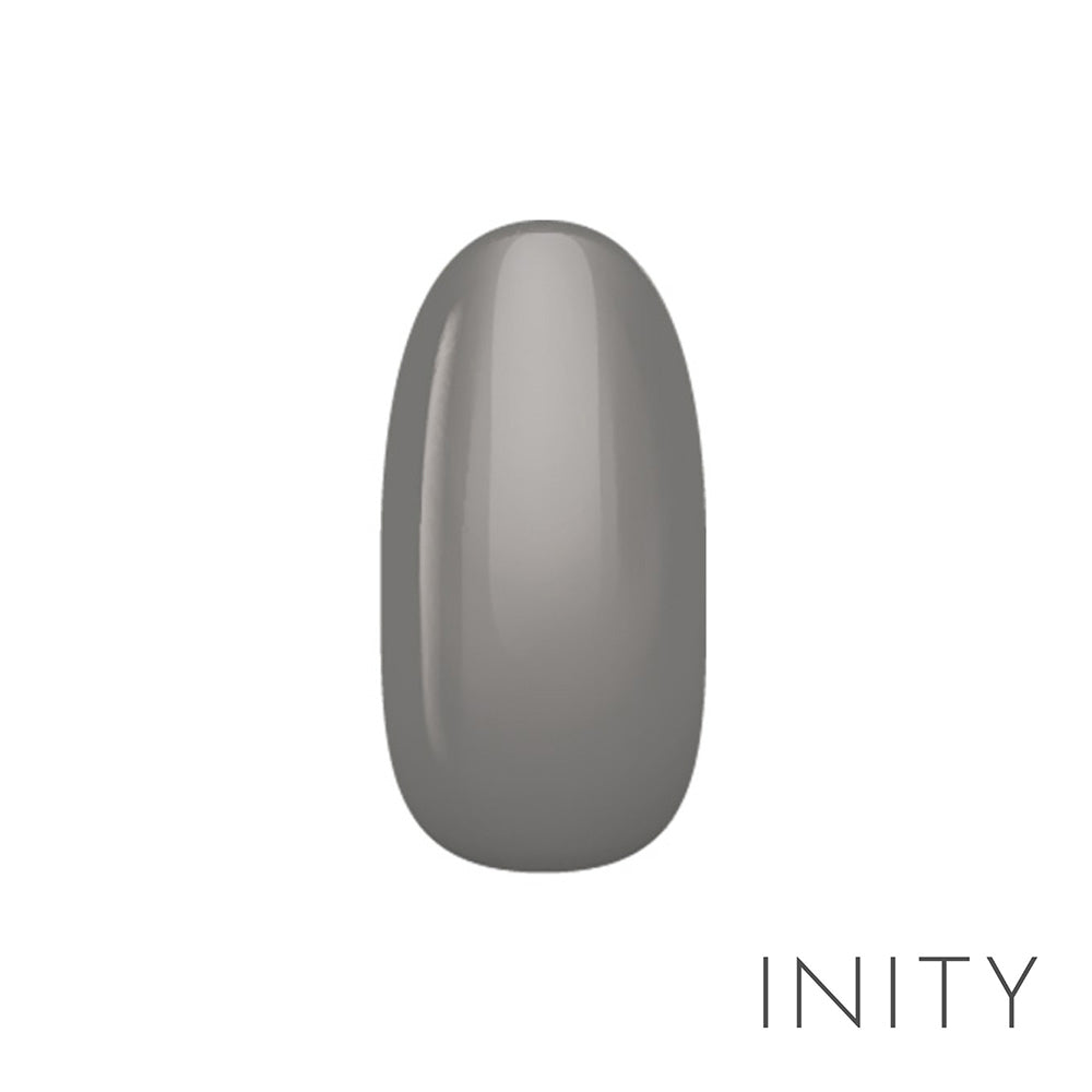 INITY high-end color NE-06M Charcoal Gray 3g